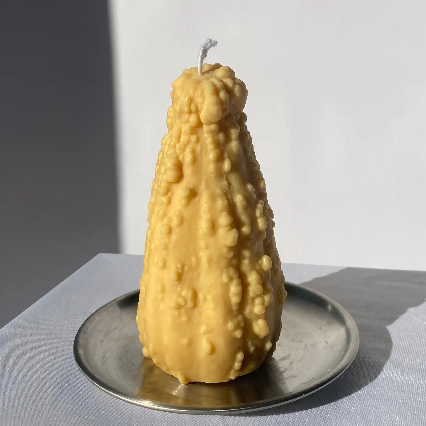 Almost Real Crookneck Gourd Candle