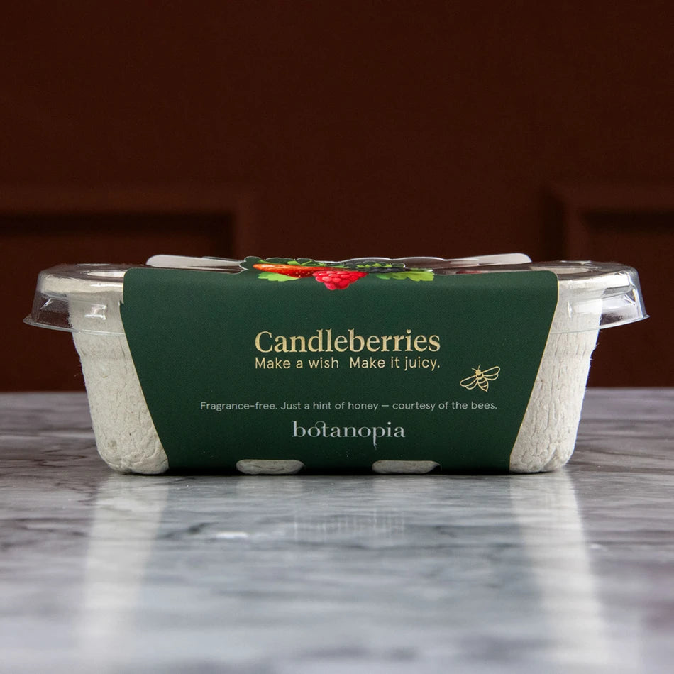 Candleberries-  Berry-Shaped Cake Candles (Set of 14)