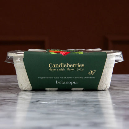 Candleberries-  Berry-Shaped Cake Candles (Set of 14)